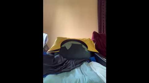 bunnyforcesolo @ bongacams on 20240922