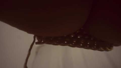 Media: heybanana Bongacams 2024-09-23 22:00:00