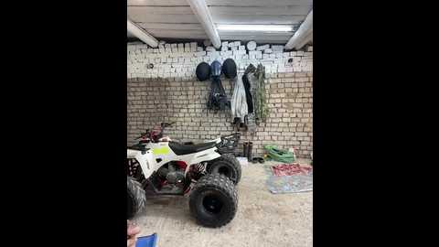 Media: _breid_1 Bongacams 2024-09-24 12:02:00