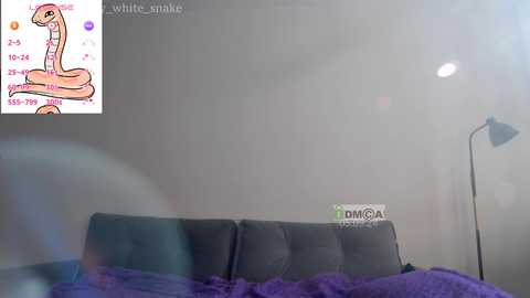 Media: well_try Bongacams 2024-09-25 08:10:00