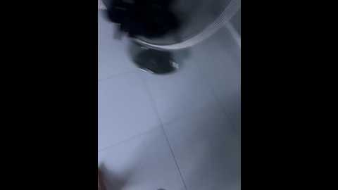 Media: adamsfamily69 Bongacams 2024-09-27 20:20:00