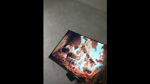 Media: littledelora Bongacams 2024-09-28 02:44:00