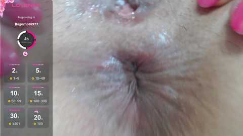 Media: elviramilf Bongacams 2024-09-30 22:00:00