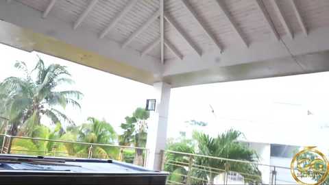 Media: ggmansion Bongacams 2024-10-04 19:25:00