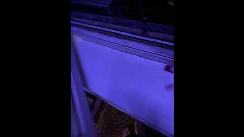 Media: luxurygirlprim Bongacams 2024-10-04 15:42:00