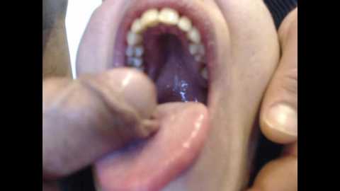 Media: aliceanddave1 Bongacams 2024-10-05 07:52:00