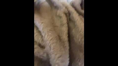 Media: virginviolet Bongacams 2024-10-05 22:42:00