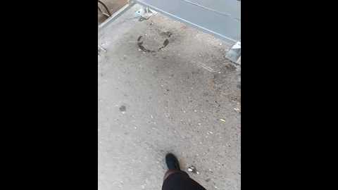 Media: angelia22 Bongacams 2024-10-08 12:22:00