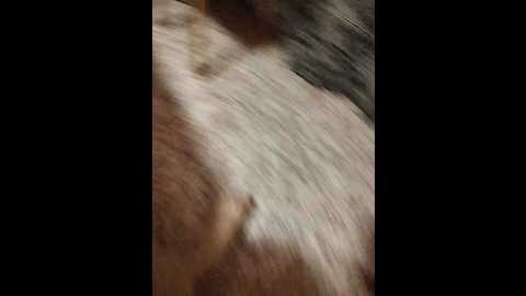 Media: andrew_merlin Bongacams 2024-10-09 18:41:00
