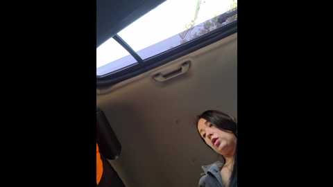 Media: aureliyxxx Bongacams 2024-10-09 12:15:00