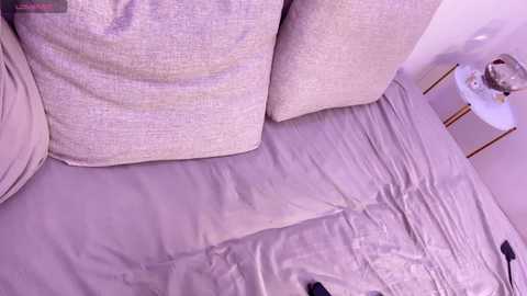 Media: flyingdutchmana Bongacams 2024-10-11 19:14:00