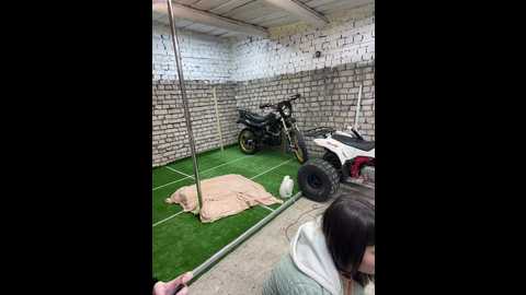 Media: _breid_1 Bongacams 2024-10-12 23:10:00