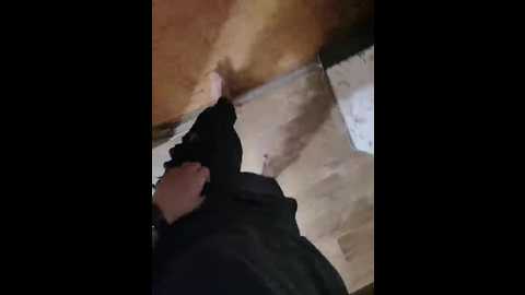 intimens @ bongacams on 20241012