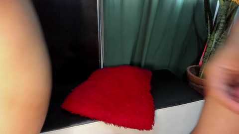 andrea_3a @ bongacams on 20241014