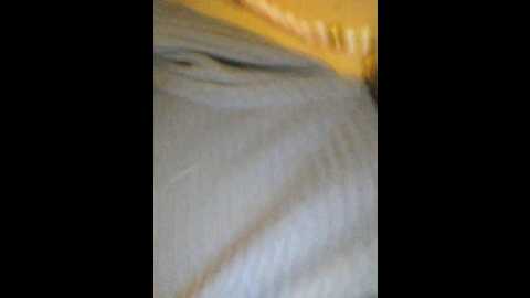 Media: littledelora Bongacams 2024-10-14 18:55:00