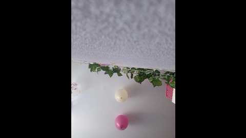 Media: niki233221 Bongacams 2024-10-14 06:00:00