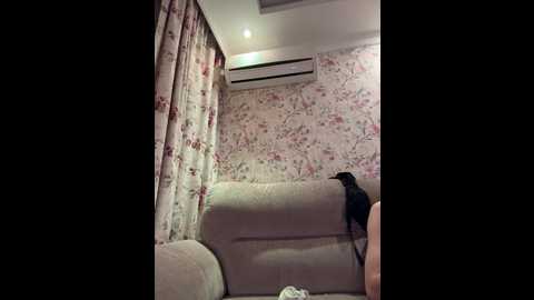 Media: adeleadam666 Bongacams 2024-10-16 20:52:00
