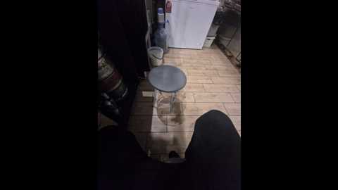 paratutt @ bongacams on 20241018