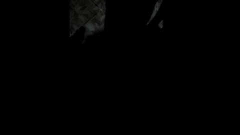 Media: family22a Bongacams 2024-10-19 12:20:00