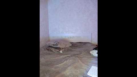 Media: jennydooley Bongacams 2024-10-19 15:47:00