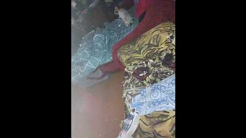 Media: qwersad33 Bongacams 2024-10-19 05:22:00