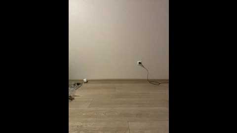 Media: kisa_gav Bongacams 2024-10-20 15:48:00