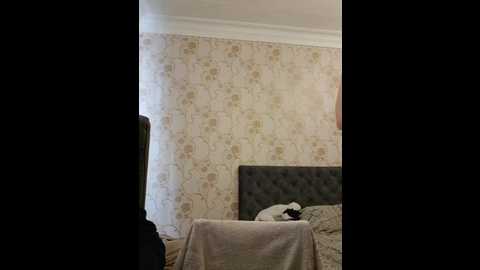 Media: axel_20x Bongacams 2024-10-21 11:19:00