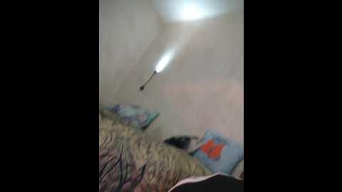 Media: littledelora Bongacams 2024-10-22 01:20:00