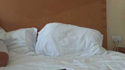 Media: mr_and_mrs_smith_xxl Bongacams 2024-10-23 09:21:00