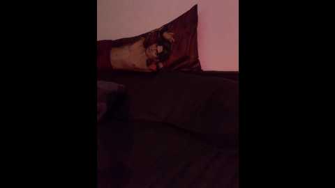 Media: originalhooli Bongacams 2024-10-23 00:40:00