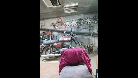 Media: perepyganue Bongacams 2024-10-25 14:52:00