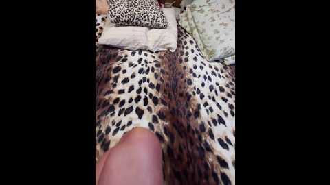 Media: cottoncandy1_1 Bongacams 2024-10-28 21:37:00