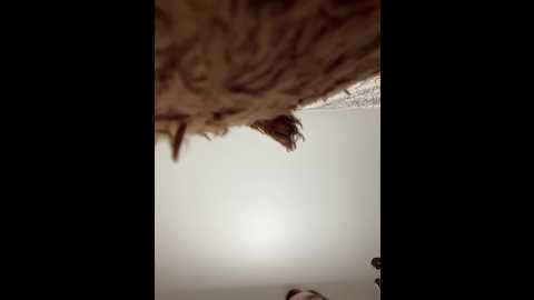 Media: hellmor Bongacams 2024-10-28 16:29:00