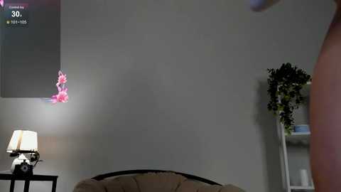 Media: lili_roze Bongacams 2024-10-28 02:28:00