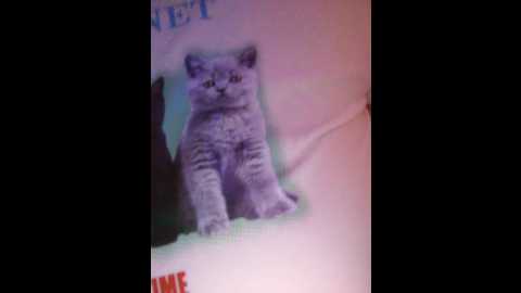Media: littledelora Bongacams 2024-10-28 03:30:00