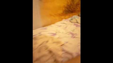 Media: seksiparaa Bongacams 2024-10-29 18:13:00