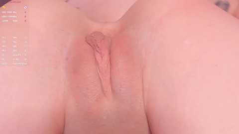 Media: rocksbabiess Bongacams 2024-10-30 13:58:00