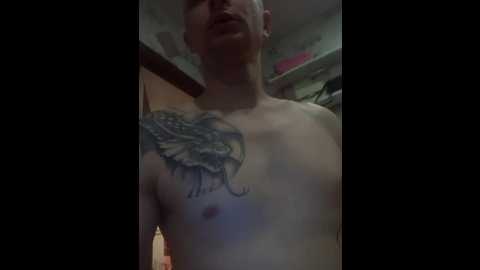Media: niki233221 Bongacams 2024-11-01 04:00:00