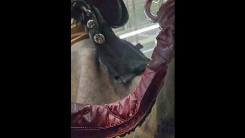 Media: editamilf Bongacams 2024-11-04 03:56:00