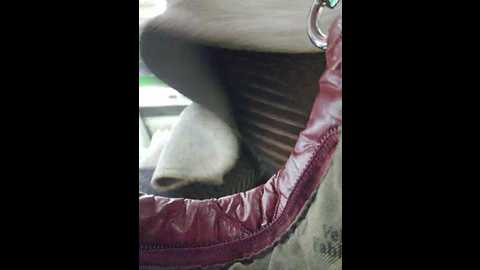 Media: editamilf Bongacams 2024-11-04 03:58:00