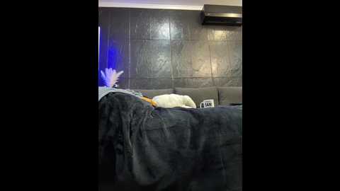 Media: vero19nika Bongacams 2024-11-04 08:15:00