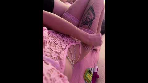 pointg_1 @ bongacams on 20241105