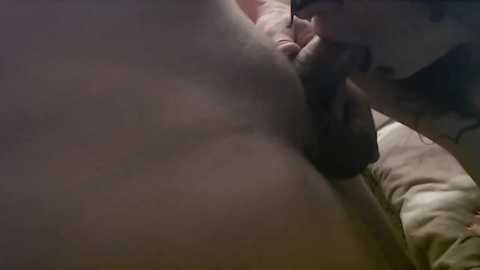 Media: agoodday Bongacams 2024-11-06 00:32:00