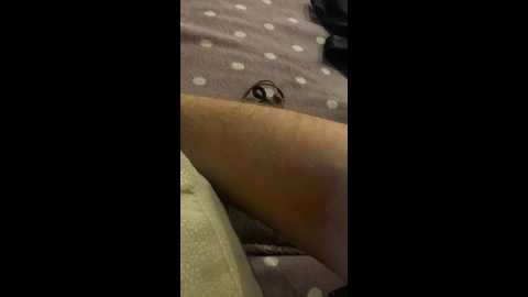 Media: ernieflossy Bongacams 2024-11-06 15:27:00