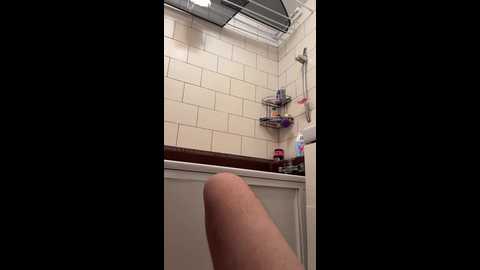 Media: luckyguyhawk01 Bongacams 2024-11-06 07:02:00