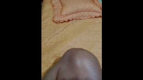 Media: cottoncandy1_1 Bongacams 2024-11-07 00:59:00