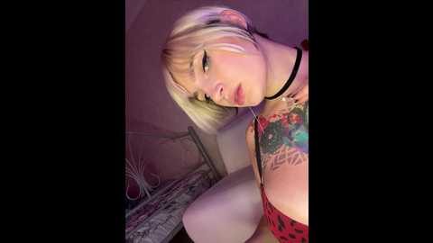 Media: absinthegirl Bongacams 2024-11-08 15:23:00