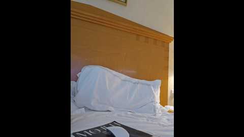Media: mr_and_mrs_smith_xxl Bongacams 2024-11-09 12:25:00