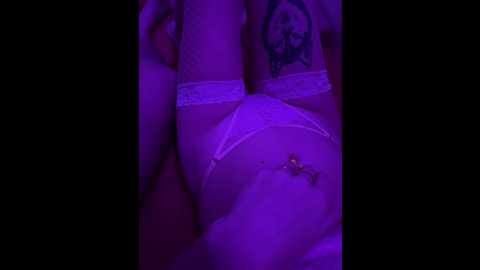 pointg_1 @ bongacams on 20241109