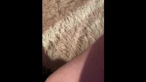 Media: fierynight77 Bongacams 2024-11-11 04:46:00